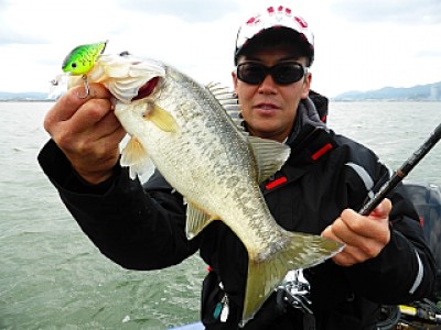 truth news ブログ写真 2014/04/05