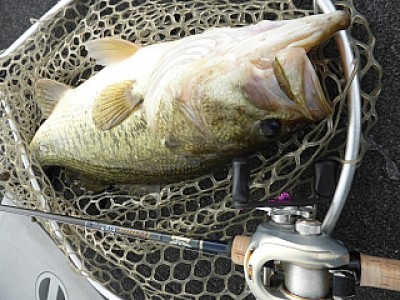 truth news ブログ写真 2014/04/05