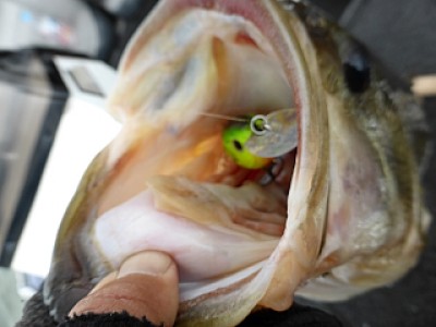 truth news ブログ写真 2014/04/05