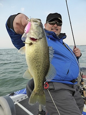 truth news ブログ写真 2014/04/09