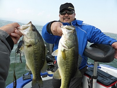 truth news ブログ写真 2014/04/09