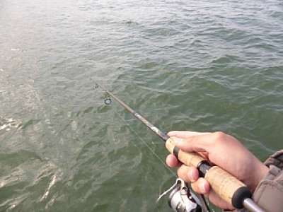 truth news ブログ写真 2014/04/09