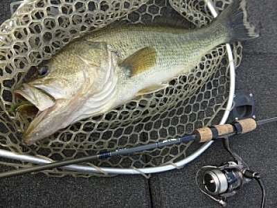 truth news ブログ写真 2014/04/09