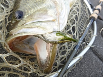 truth news ブログ写真 2014/04/09