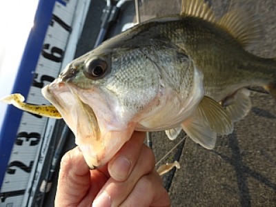 truth news ブログ写真 2014/04/09