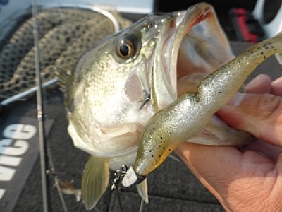 truth news ブログ写真 2014/04/09