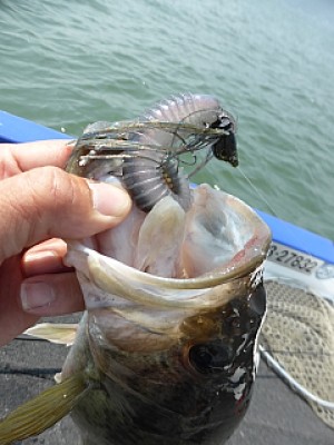 truth news ブログ写真 2014/04/09