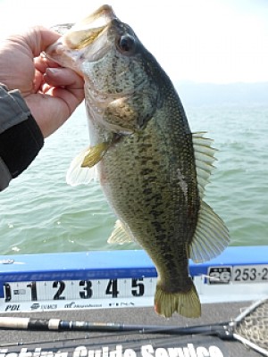 truth news ブログ写真 2014/04/09