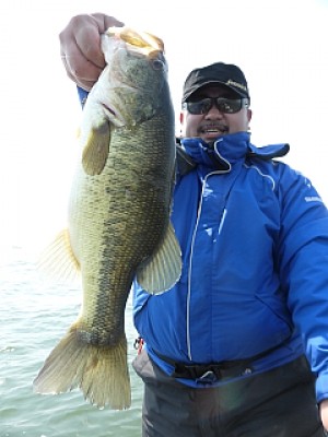 truth news ブログ写真 2014/04/09