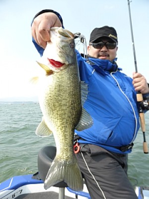 truth news ブログ写真 2014/04/09