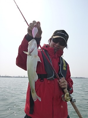 truth news ブログ写真 2014/04/10