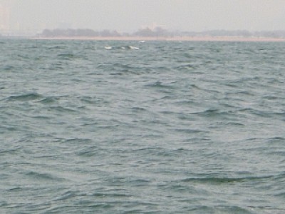 truth news ブログ写真 2014/04/10