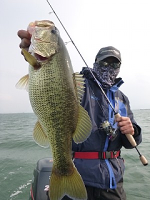 truth news ブログ写真 2014/04/10