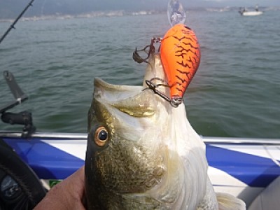 truth news ブログ写真 2014/04/12