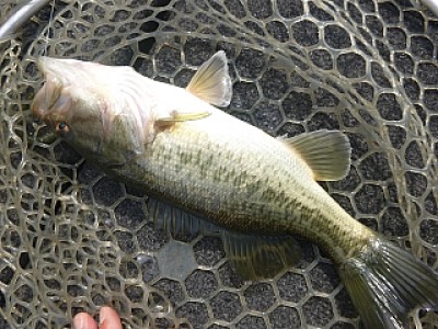 truth news ブログ写真 2014/04/12