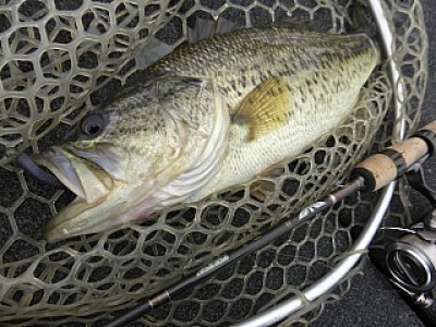 truth news ブログ写真 2014/04/13