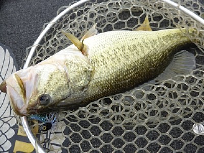 truth news ブログ写真 2014/04/13