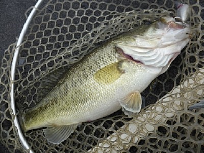 truth news ブログ写真 2014/04/13