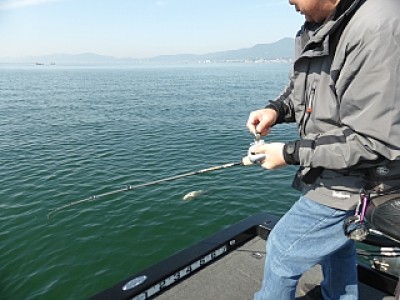 truth news ブログ写真 2014/04/15