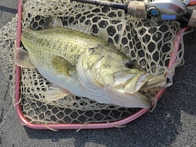 truth news ブログ写真 2014/04/15