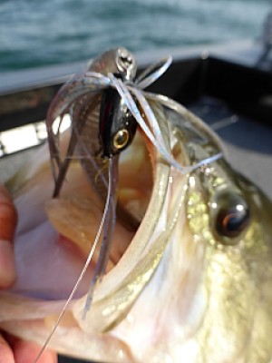 truth news ブログ写真 2014/04/15