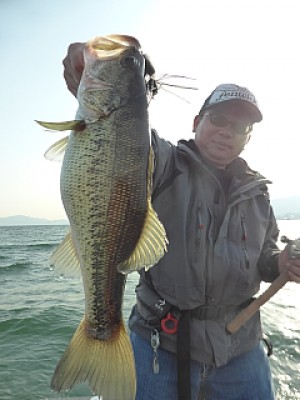 truth news ブログ写真 2014/04/15