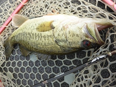 truth news ブログ写真 2014/04/16