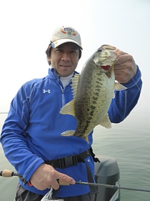 truth news ブログ写真 2014/04/17