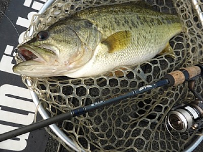 truth news ブログ写真 2014/04/17