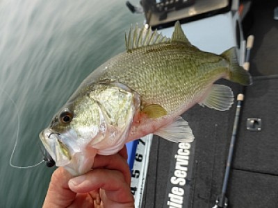 truth news ブログ写真 2014/04/17