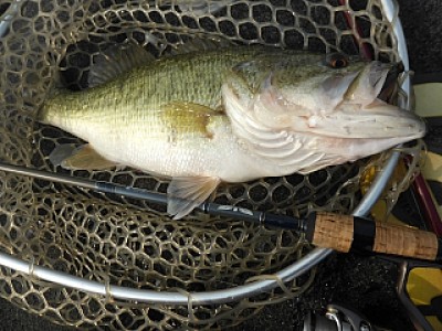 truth news ブログ写真 2014/04/17