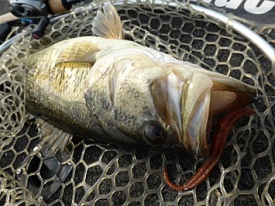 truth news ブログ写真 2014/04/17