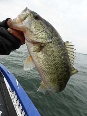 truth news ブログ写真 2014/04/18