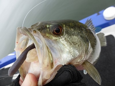 truth news ブログ写真 2014/04/18