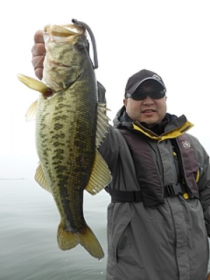 truth news ブログ写真 2014/04/18