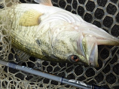 truth news ブログ写真 2014/04/18