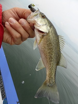 truth news ブログ写真 2014/04/18