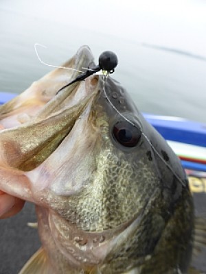 truth news ブログ写真 2014/04/18