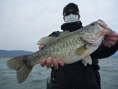 truth news ブログ写真 2014/04/19