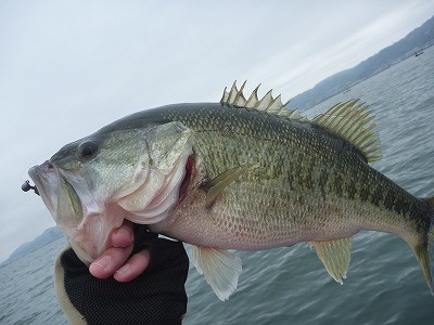 truth news ブログ写真 2014/04/20