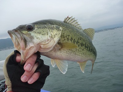 truth news ブログ写真 2014/04/20