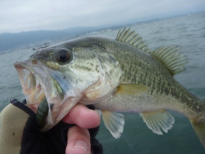 truth news ブログ写真 2014/04/20