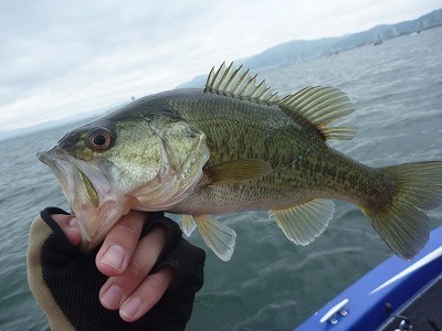 truth news ブログ写真 2014/04/20