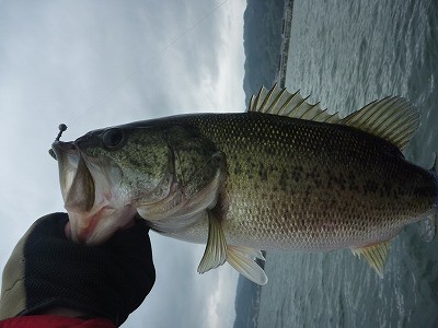 truth news ブログ写真 2014/04/20