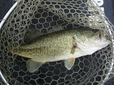 truth news ブログ写真 2014/04/20