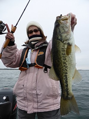 truth news ブログ写真 2014/04/20