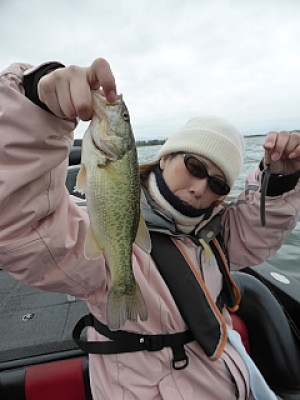 truth news ブログ写真 2014/04/20