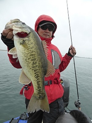 truth news ブログ写真 2014/04/21