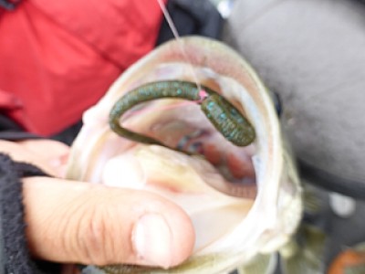 truth news ブログ写真 2014/04/21