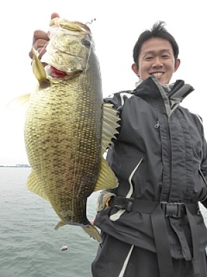 truth news ブログ写真 2014/04/22